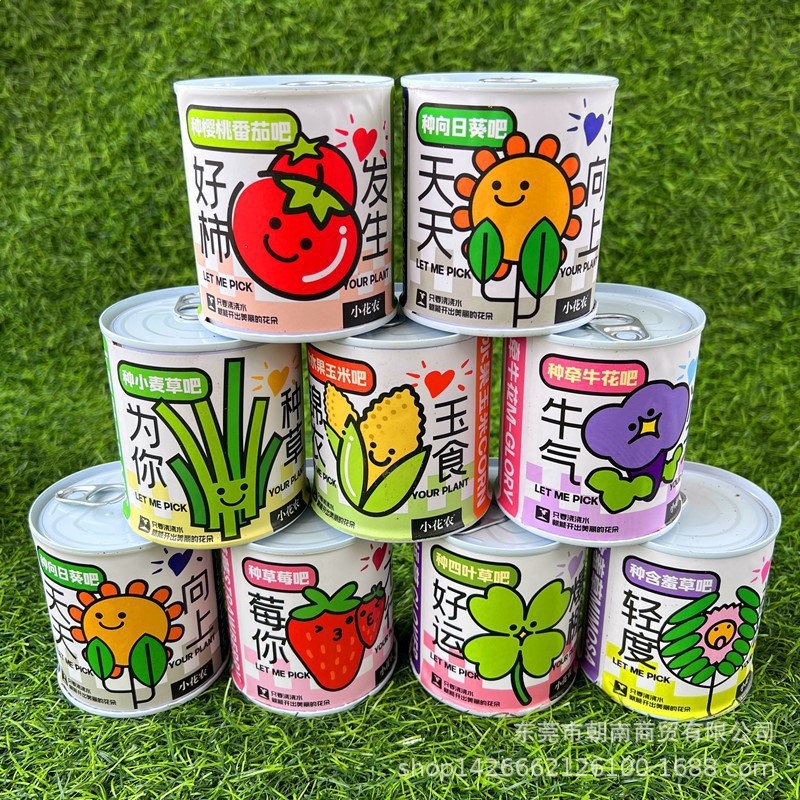 混发桌面绿植